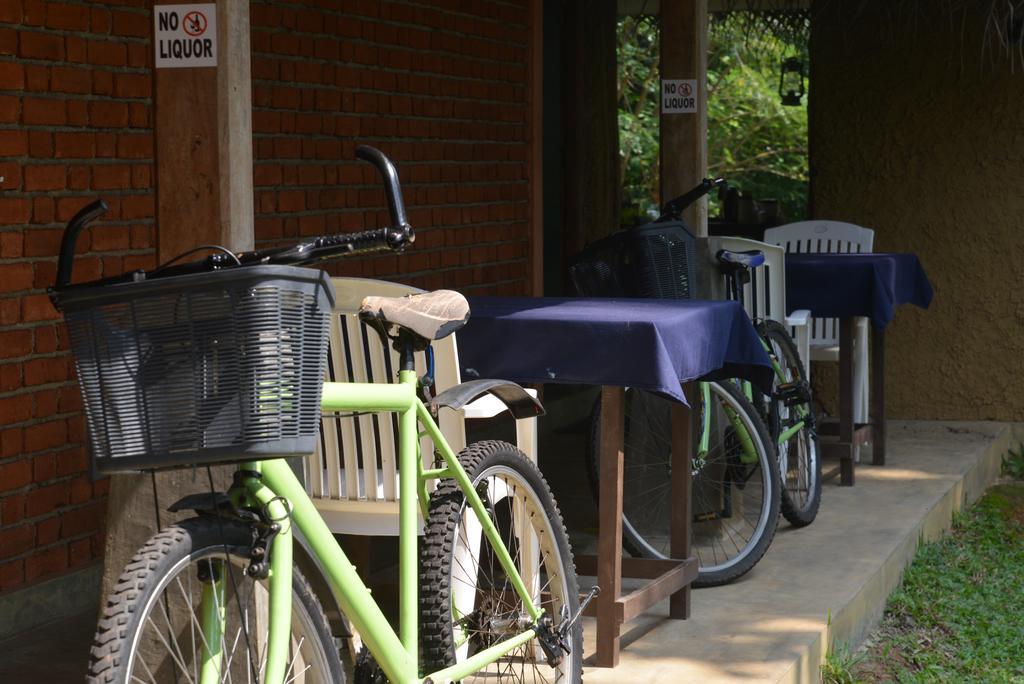 Jungle Beach Hostel Unawatuna Dış mekan fotoğraf